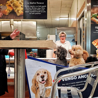 Pet shopping list