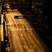A Solitary Commute
