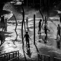 Dancing Shadows