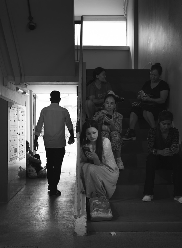 Shelter