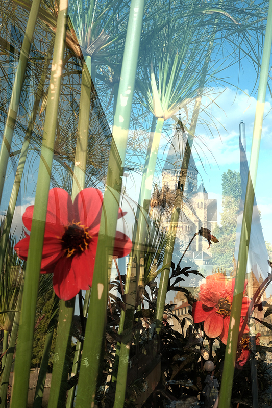 À fleur de temple