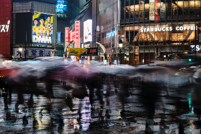 Rainy Crossing