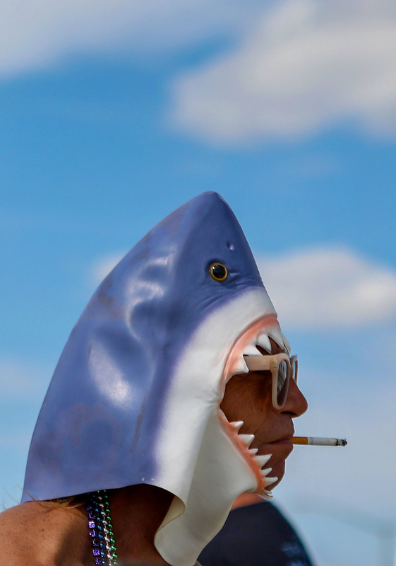 Smoking Shark 