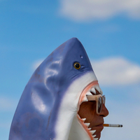 Smoking Shark 