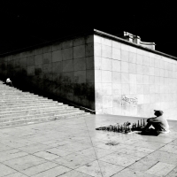 PARIS raffiné, Paris sauvage... By SLIM LABIDI