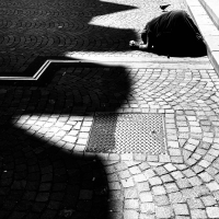 PARIS raffiné, Paris sauvage... By SLIM LABIDI