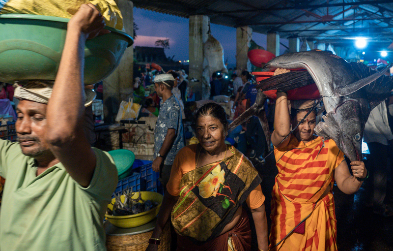 Sassoon docs fish market 5am in Mumbai, India