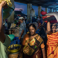 Sassoon docs fish market 5am in Mumbai, India