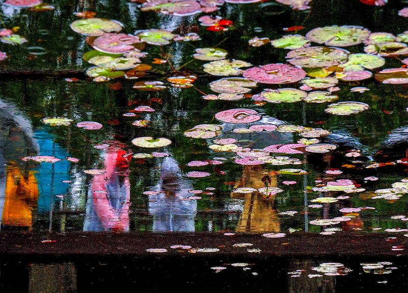 Meditation in the rain