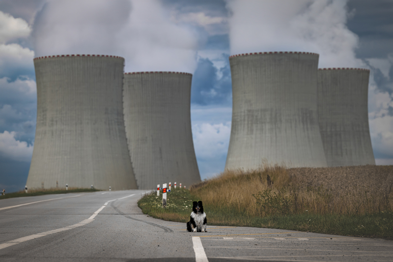 The Lone Guardian of Modern Times