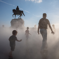 Shadows in the mist