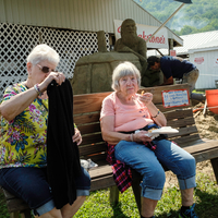 Delaware County Fair