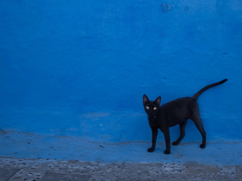 Black & Blue