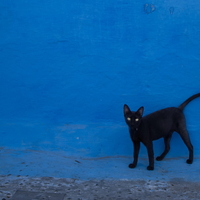 Black & Blue