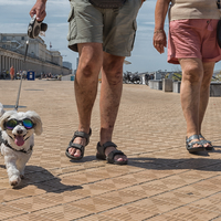 Dogs are people, too