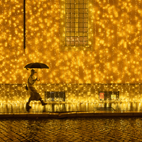 Under a shower of stars