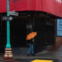 The Orange Umbrella