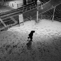 Lone Shadow in the Snow