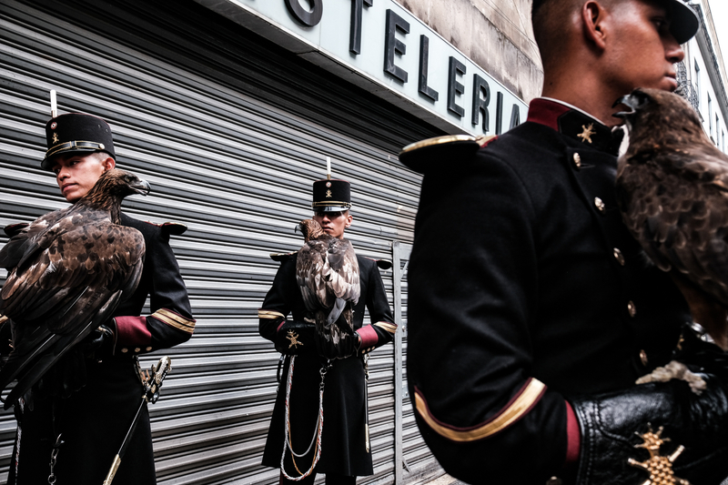 falconers