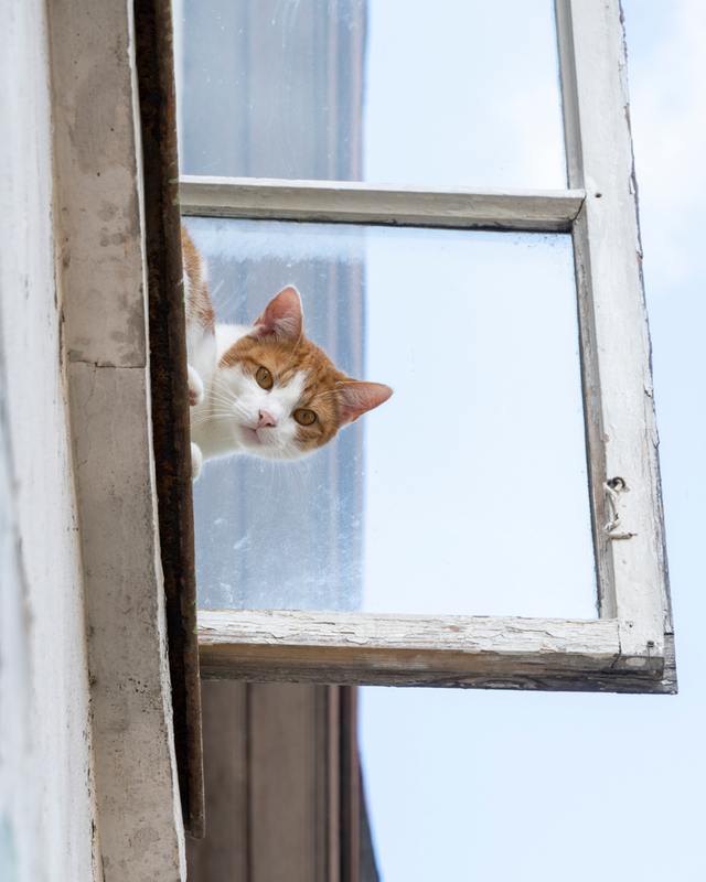 I see you