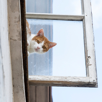 I see you