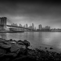 Views of New York 