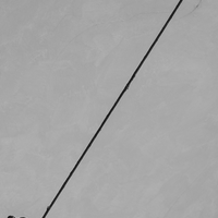 Adventures of Pigeon and its triangle