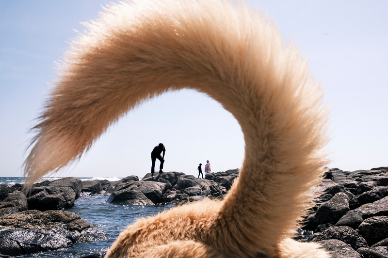Shoreline Spiral