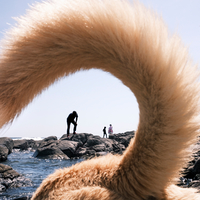 Shoreline Spiral