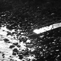 Silent Reflections
