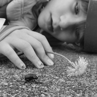 La petite fille et le scarabée