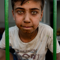 Tajik Boy Painting a Fence 