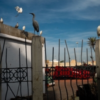Moroccan winter sun