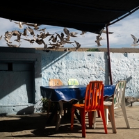 Moroccan winter sun