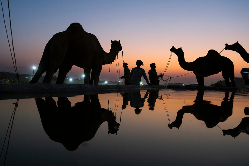 Sunset at Pushkar, Rajasthan