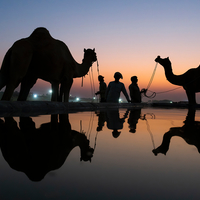 Sunset at Pushkar, Rajasthan