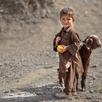 Innocence Against Adversity
