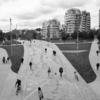 Social stratification