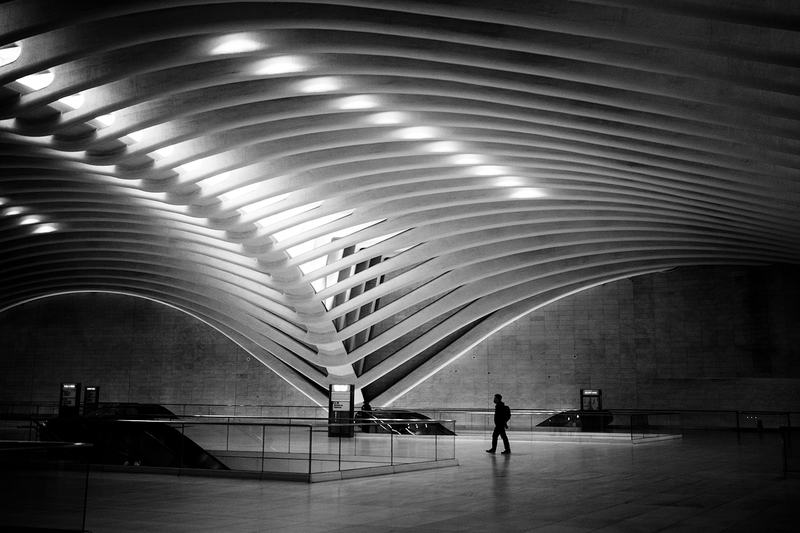 Morning Commute at the Oculus, NYC