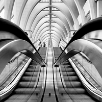 Crossing Over