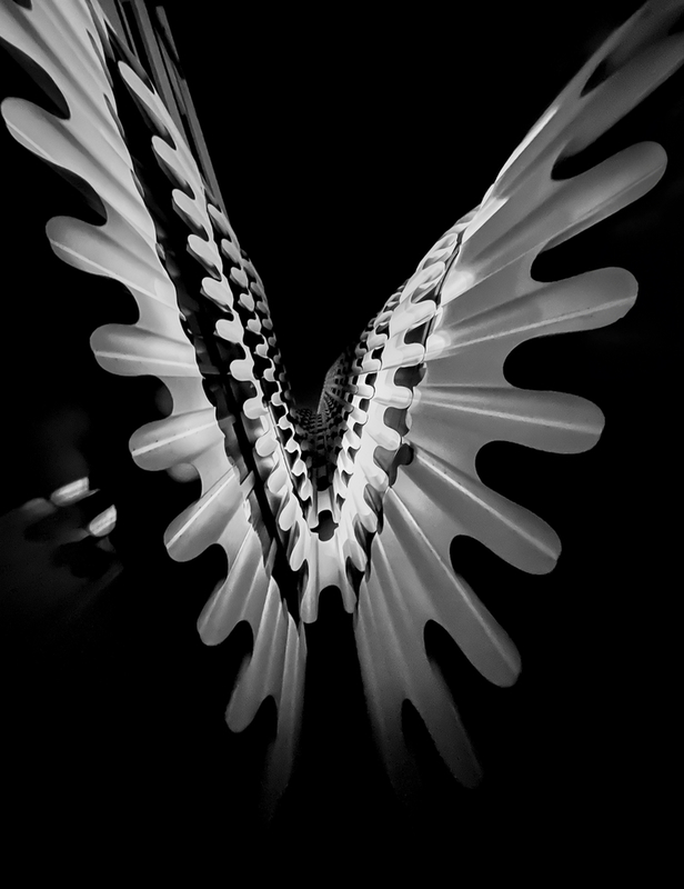 Spread Your Wings