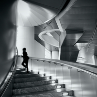 The stairs of the opera