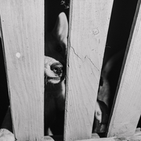 Art de vivre et surf à la Marocaine.