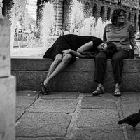 Daydream in Securness While the City Run