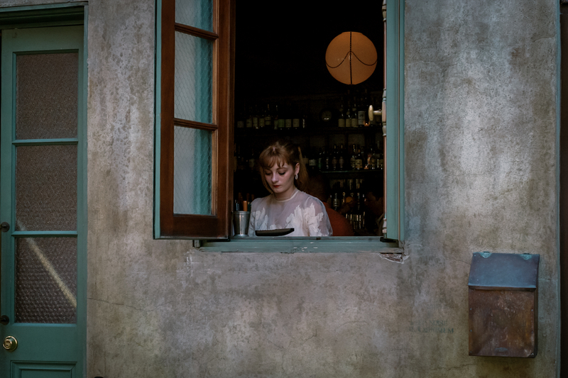 The Girl in the Window