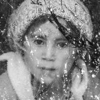 À travers le voile du silence 